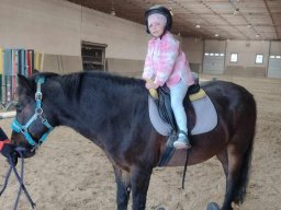 46274782010068045779141578384248685790950546n